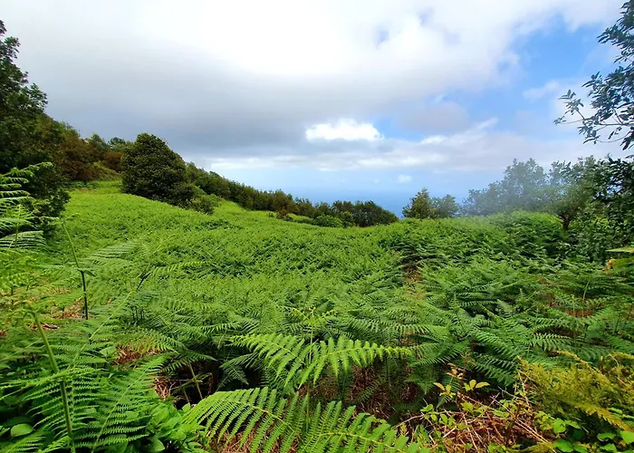 Mar Del Norte Appartement