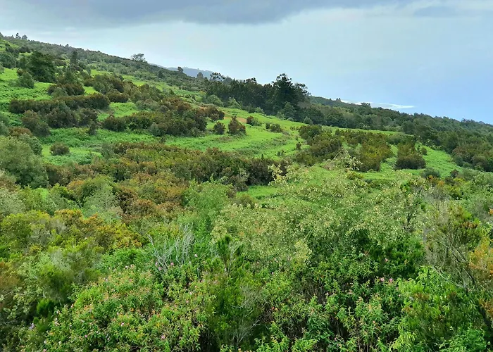 アパート Mar Del Norte San Marcos (Tenerife)